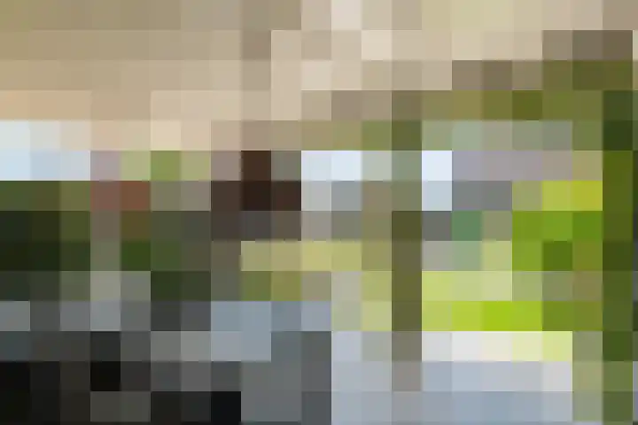 Sterrebos 21 Meteren thumbnail 30