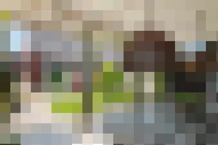 Sterrebos 21 Meteren thumbnail 31