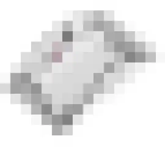 Sterrebos 21 Meteren thumbnail 39