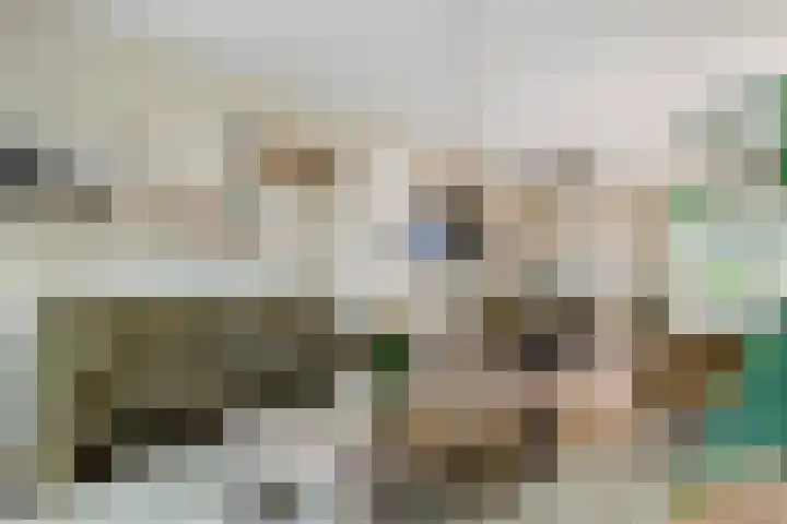 Sterrebos 21 Meteren thumbnail 4