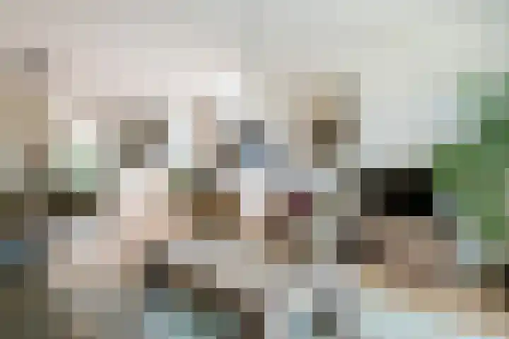 Sterrebos 21 Meteren thumbnail 5
