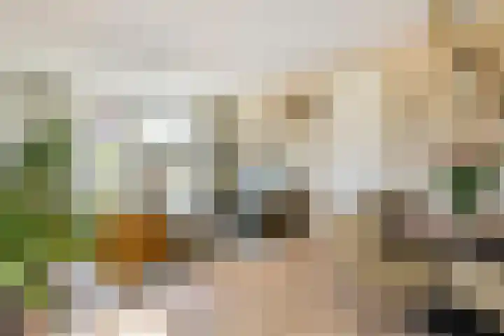Sterrebos 21 Meteren thumbnail 6