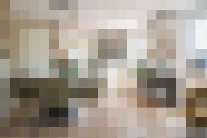 Sterrebos 21 Meteren thumbnail 7