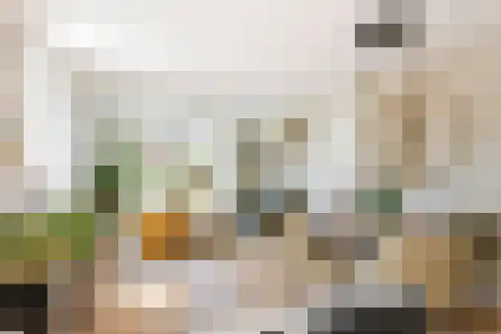 Sterrebos 21 Meteren thumbnail 8