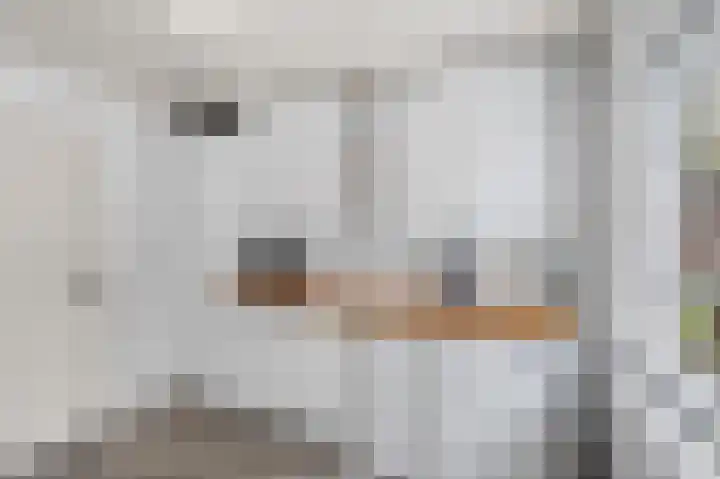 Sterrebos 23 Oud Gastel thumbnail 20