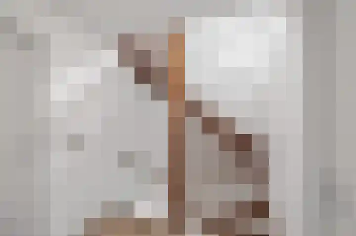 Sterrebos 23 Oud Gastel thumbnail 34