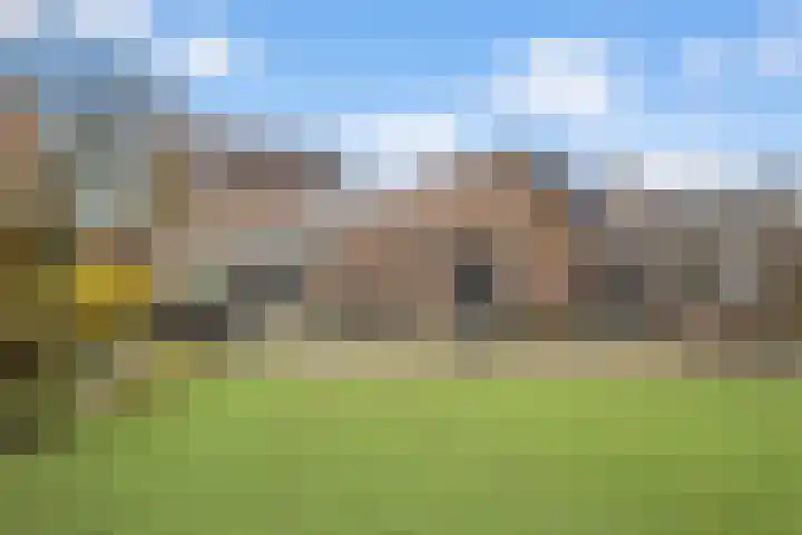 Sterrebos 23 Oud Gastel thumbnail 41