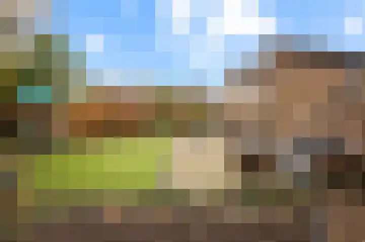 Sterrebos 23 Oud Gastel thumbnail 42