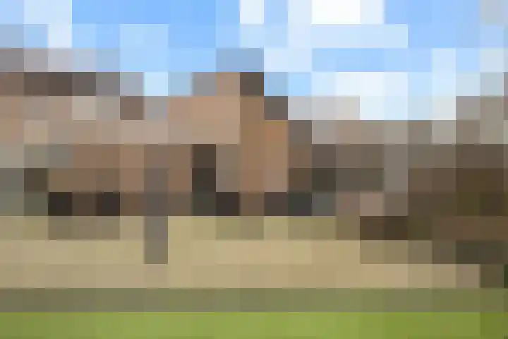 Sterrebos 23 Oud Gastel thumbnail 43