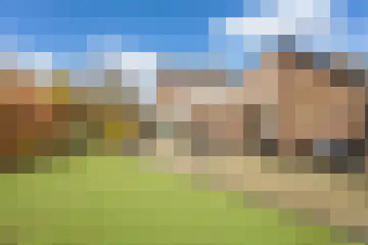 Sterrebos 23 Oud Gastel thumbnail 44
