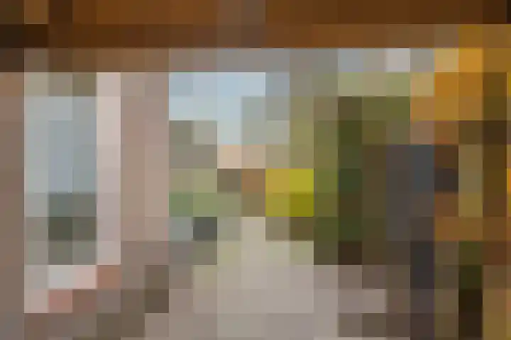 Sterrebos 23 Oud Gastel thumbnail 48