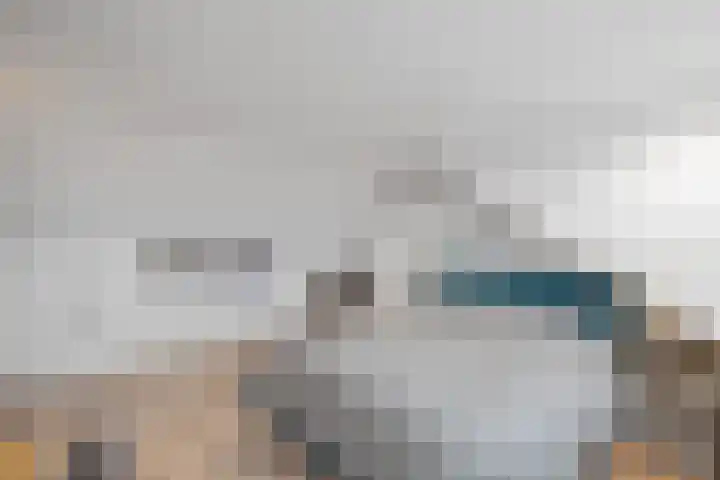 Sterrebos 23 Oud Gastel thumbnail 5