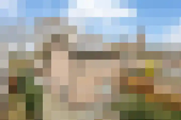 Sterrebos 23 Oud Gastel thumbnail 50