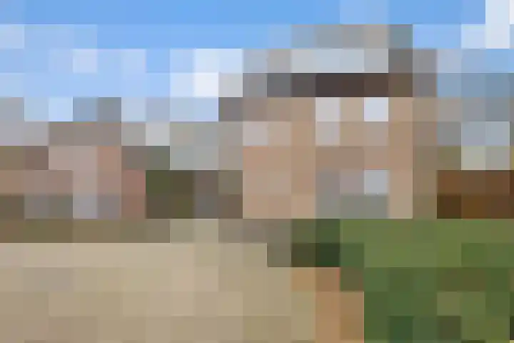Sterrebos 23 Oud Gastel thumbnail 52
