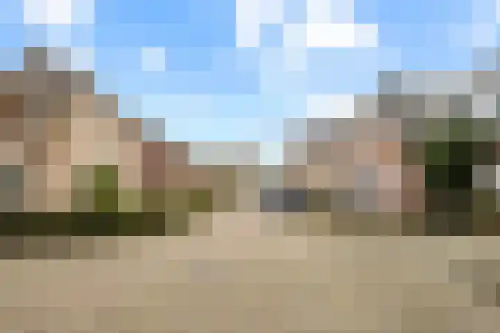 Sterrebos 23 Oud Gastel thumbnail 53