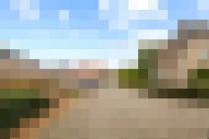 Sterrebos 23 Oud Gastel thumbnail 54