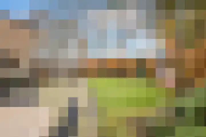 Sterrebos 23 Oud Gastel thumbnail 6