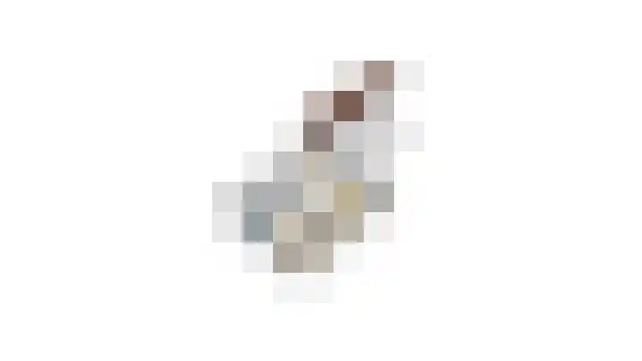 Sterrebos 23 Oud Gastel thumbnail 64