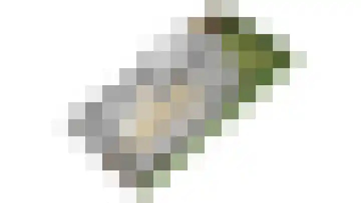 Sterrebos 23 Oud Gastel thumbnail 66