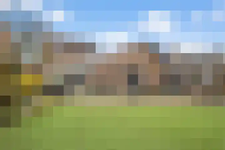 Sterrebos 23 Oud Gastel thumbnail 7