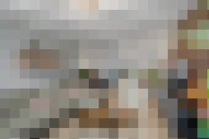 Sterrebos 23 Oud Gastel thumbnail 8