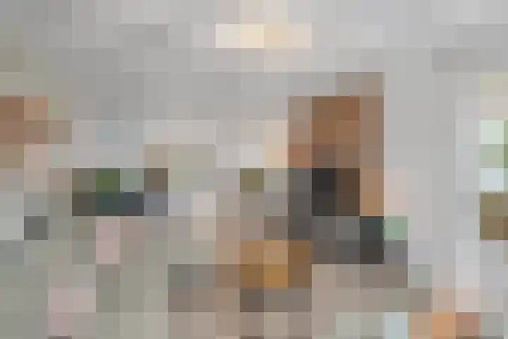 Sterrebos 23 Oud Gastel thumbnail 9