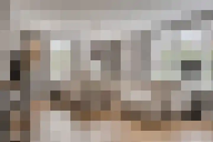Sterrebos 28 Meteren thumbnail 10