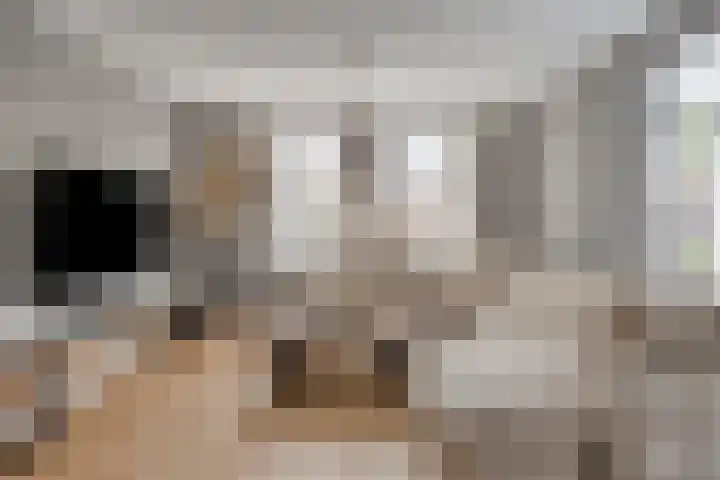 Sterrebos 28 Meteren thumbnail 11
