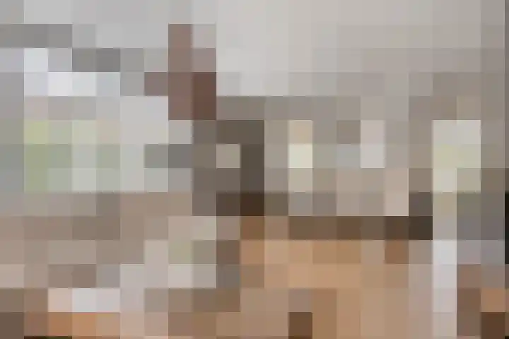 Sterrebos 28 Meteren thumbnail 12