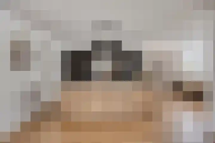 Sterrebos 28 Meteren thumbnail 15