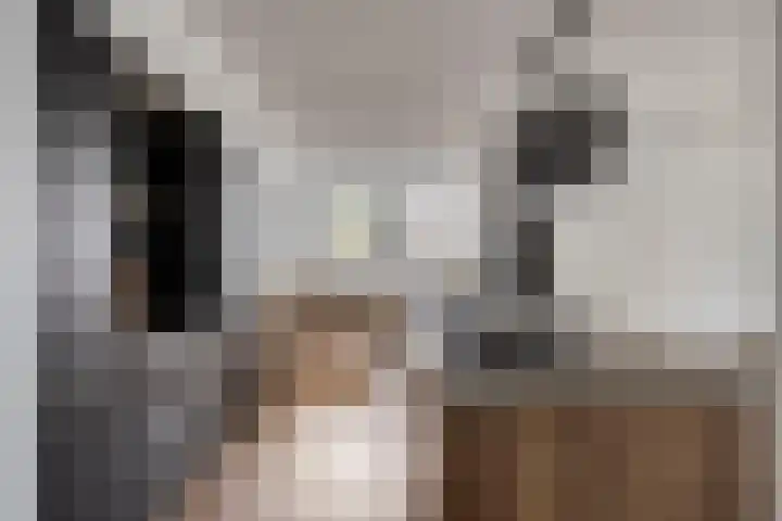 Sterrebos 28 Meteren thumbnail 16