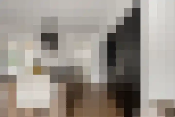 Sterrebos 28 Meteren thumbnail 18