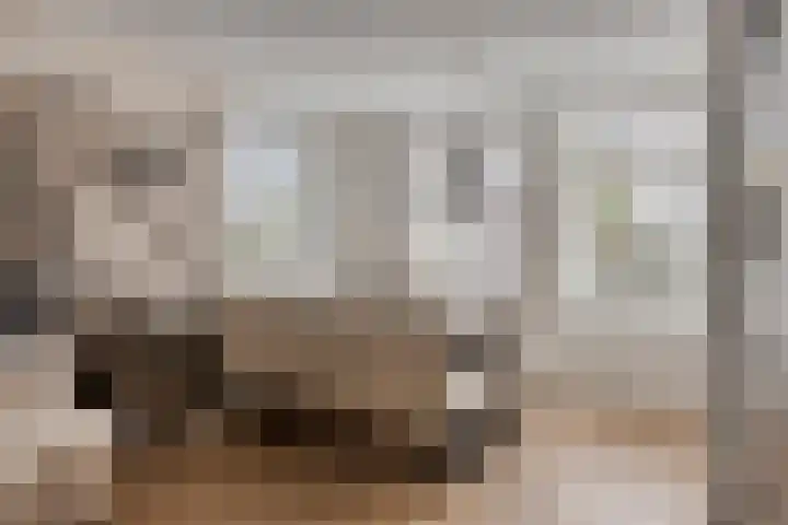 Sterrebos 28 Meteren thumbnail 20