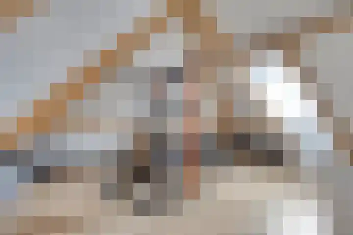 Sterrebos 28 Meteren thumbnail 36