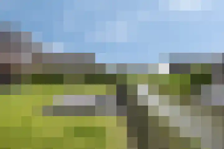Sterrebos 28 Meteren thumbnail 4