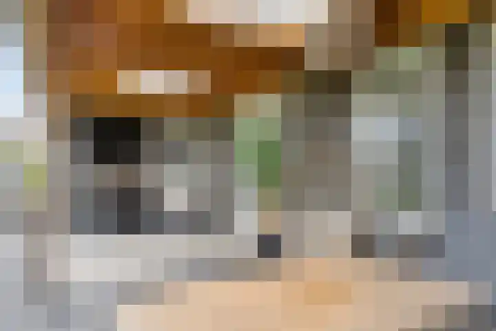 Sterrebos 28 Meteren thumbnail 41