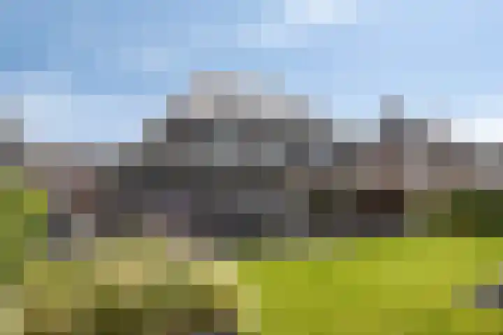 Sterrebos 28 Meteren thumbnail 44