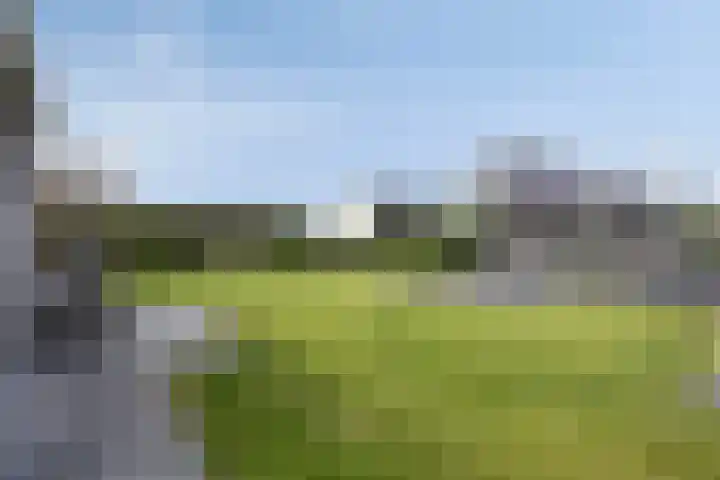 Sterrebos 28 Meteren thumbnail 45
