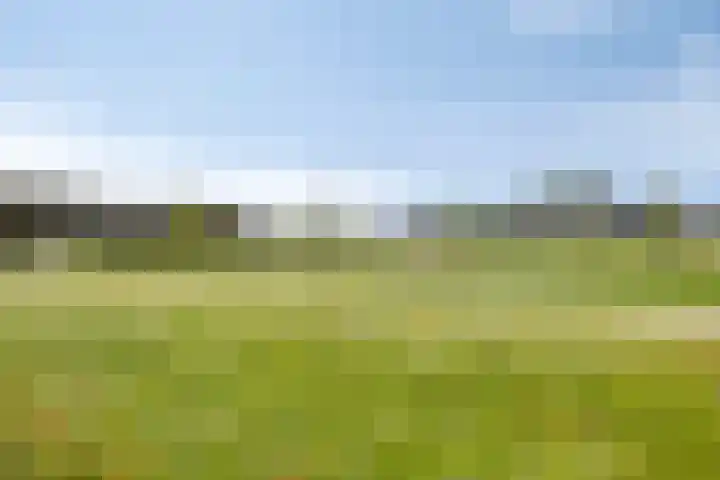 Sterrebos 28 Meteren thumbnail 49