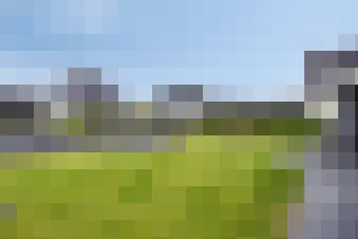 Sterrebos 28 Meteren thumbnail 5