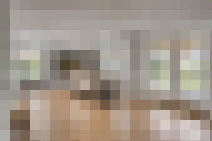 Sterrebos 28 Meteren thumbnail 7