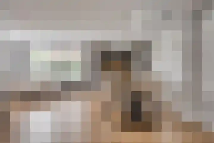 Sterrebos 28 Meteren thumbnail 9