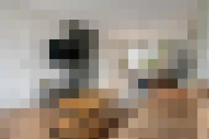 Sterrebos 29 Tiel thumbnail 10