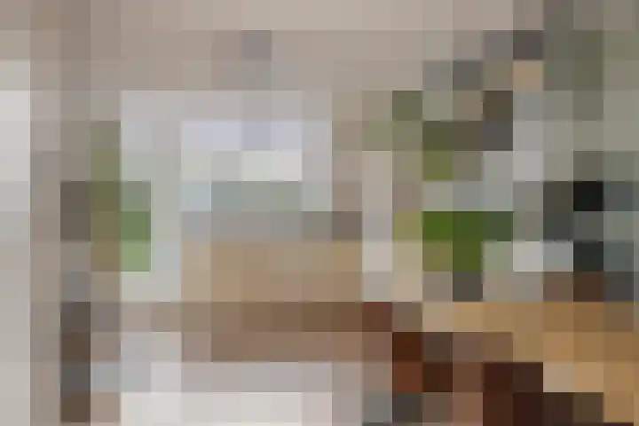Sterrebos 29 Tiel thumbnail 12