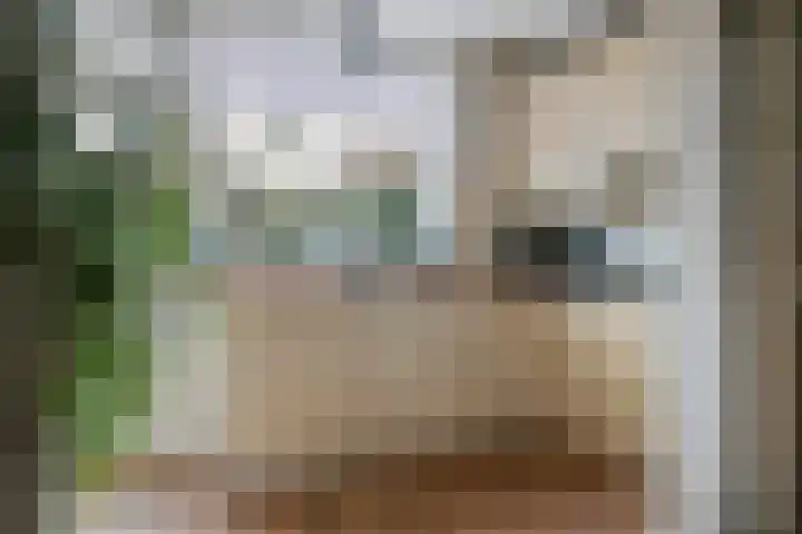 Sterrebos 29 Tiel thumbnail 13