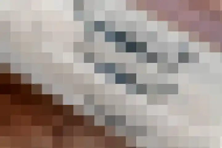 Sterrebos 29 Tiel thumbnail 14