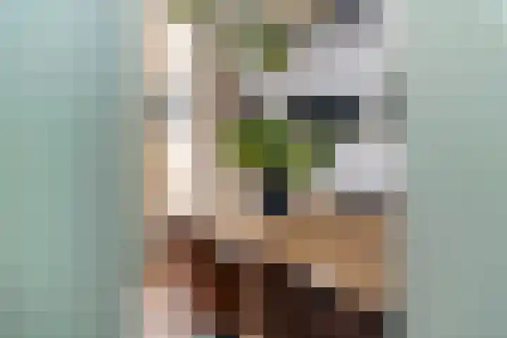 Sterrebos 29 Tiel thumbnail 17