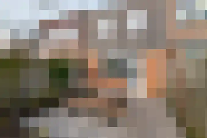 Sterrebos 29 Tiel thumbnail 21