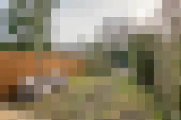 Sterrebos 29 Tiel thumbnail 22