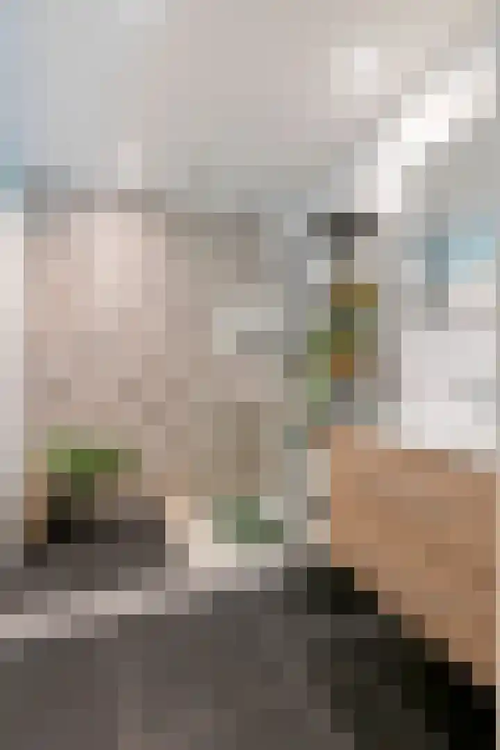Sterrebos 29 Tiel thumbnail 26